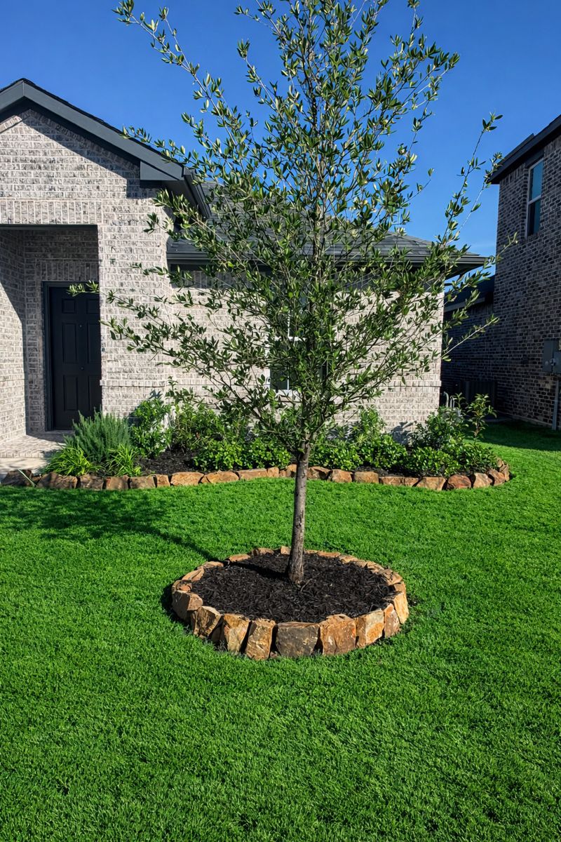 chatgpt image dec 19, 2025, 08 58 54 pm