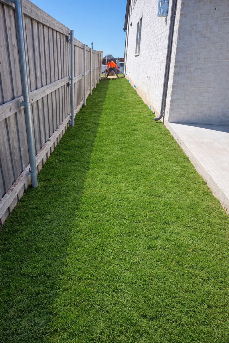 chatgpt image dec 19, 2025, 09 01 12 pm